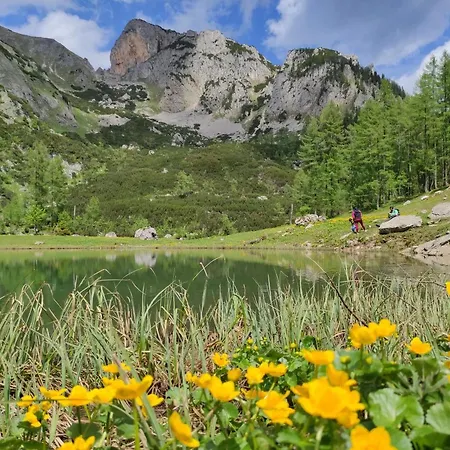 Seebacher Konukevi Spital Am Pyhrn