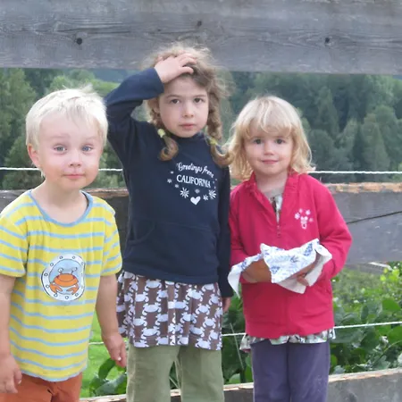 Landhaus Seebacher 4* Spital Am Pyhrn