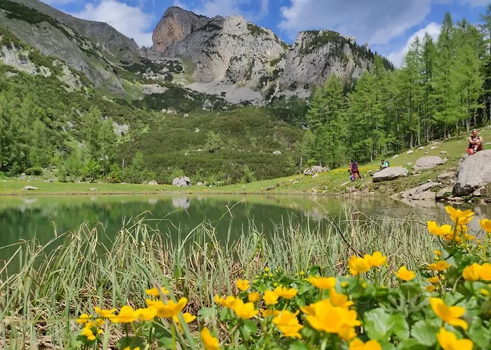 Seebacher בית הארחה ספיטל אם פיהרן